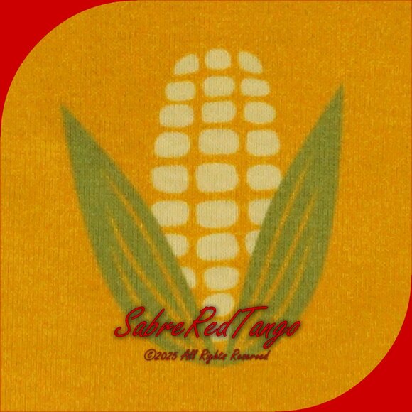 NWT Hanna Andersson Organic Short Johns Pajamas Summer Corn Print 110 5 - Picture 3 of 6